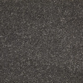 Bermuda Polypropylene Carpet - Shelly