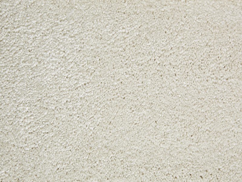 Bermuda Polypropylene Carpet