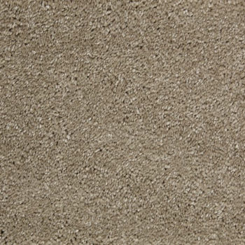 Bermuda Polypropylene Carpet - Holiday
