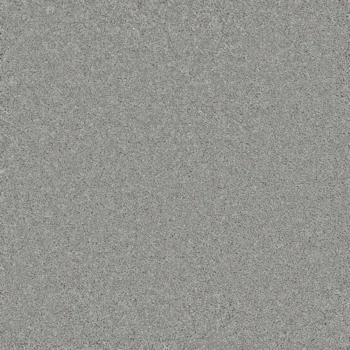 Bliss Sensational Saxony - Skylight