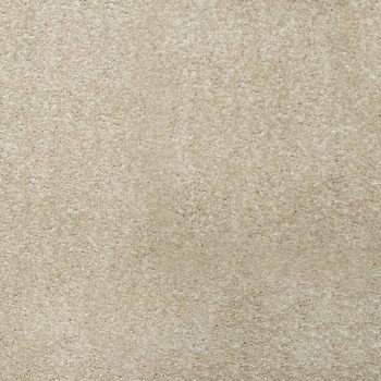 Ultra Saxony - Safari