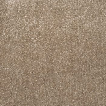 Ultra Saxony - Sauteed Mushroom