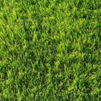 40mm Artificial Grass