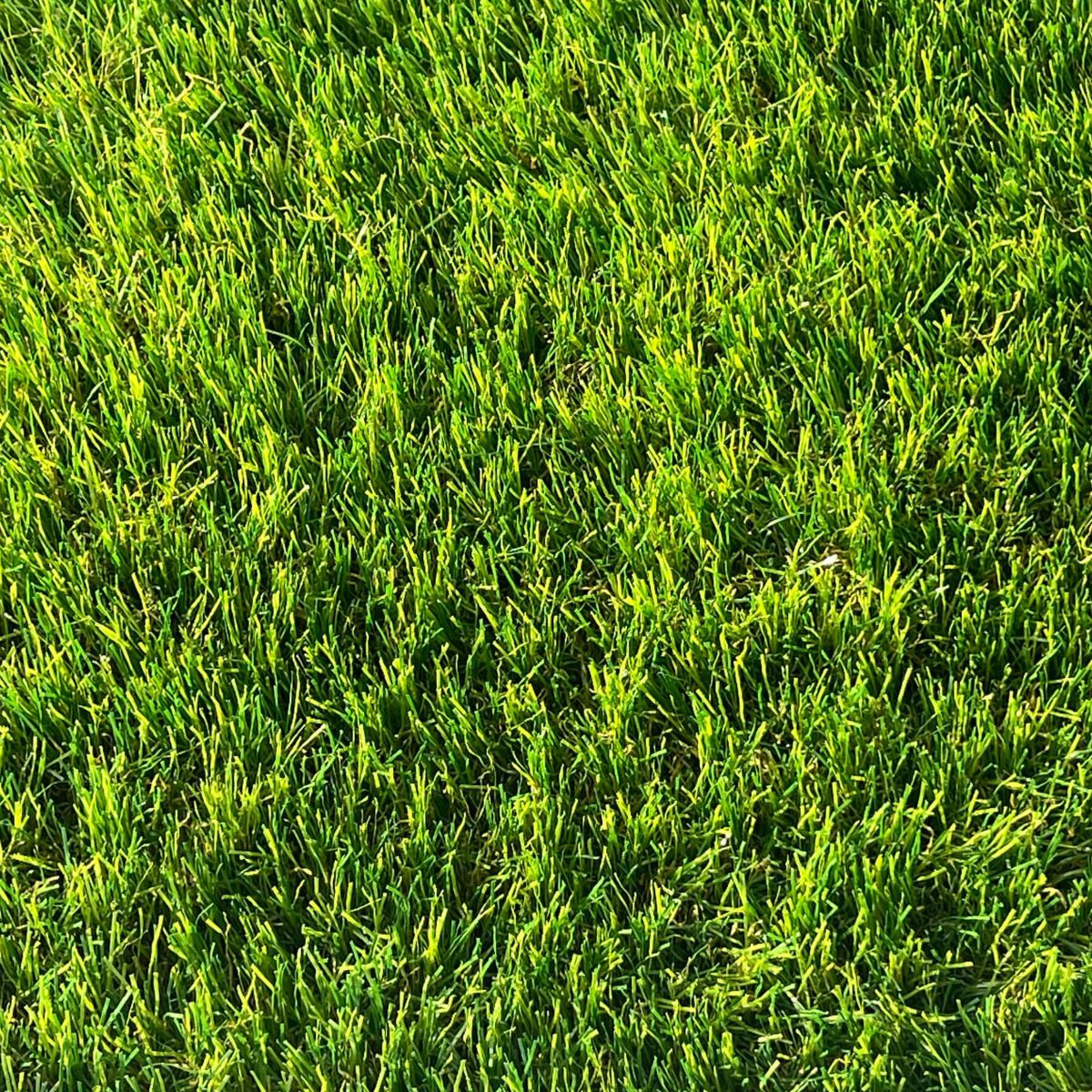 Cordoba 40mm Artificial Grass - Image 8