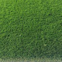 30mm Artificial Grass