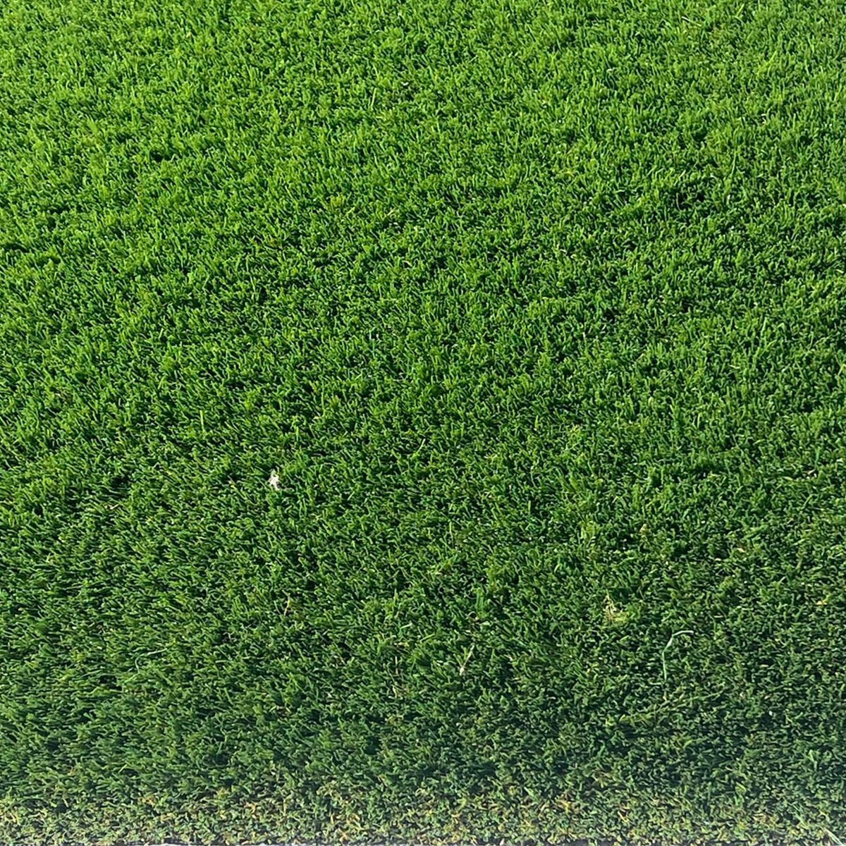 Premiership 40mm Artificial Grass - Image 2