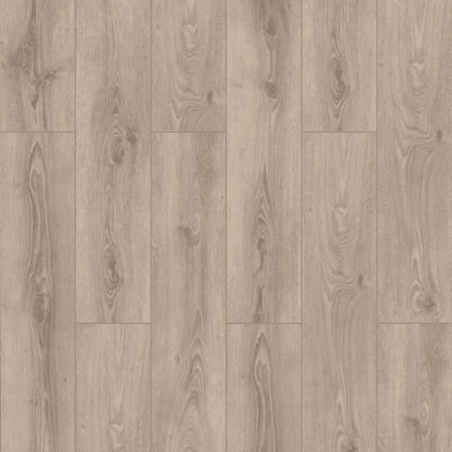 Stepclick Erasmus V groove 8mm laminate flooring AC4