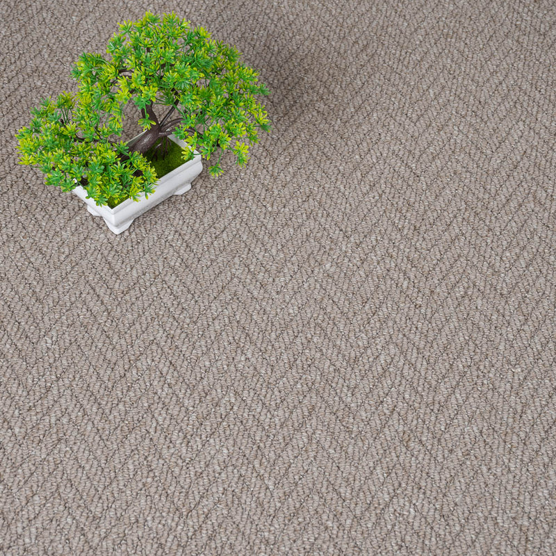 Havanna Herringbone Loop Carpet - Image 2