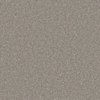 Provence Deluxe - Truffle