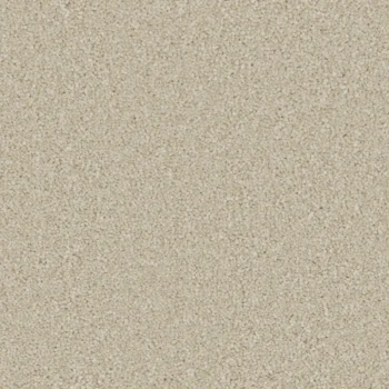 Aurora Barnacle carpet