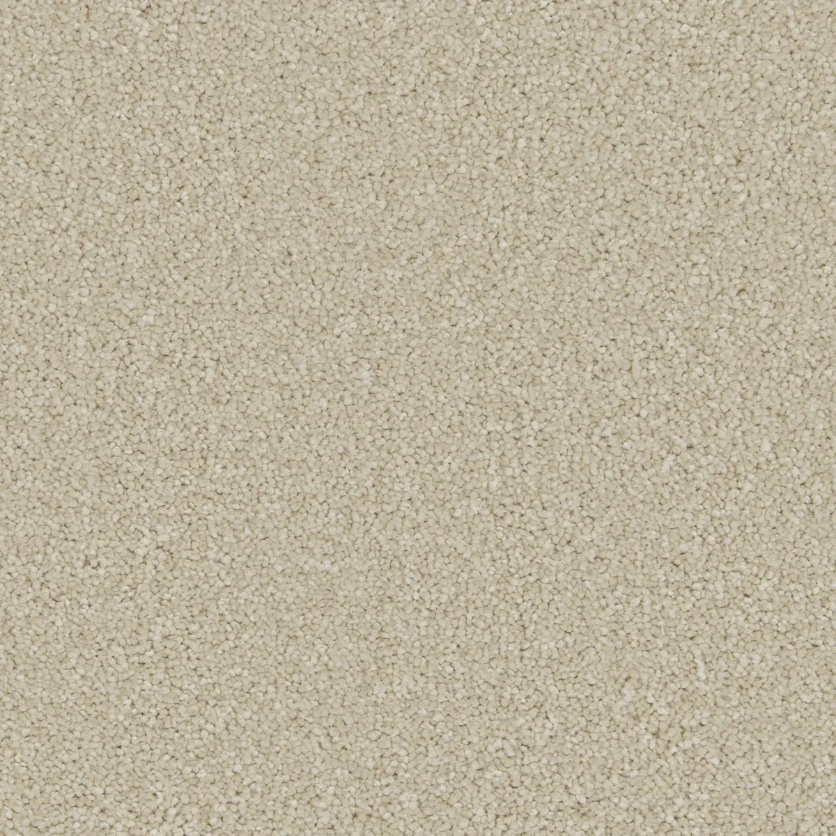 Aurora Barnacle carpet