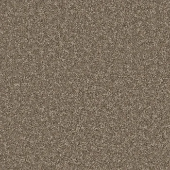 Aurora Brown Rice carpet