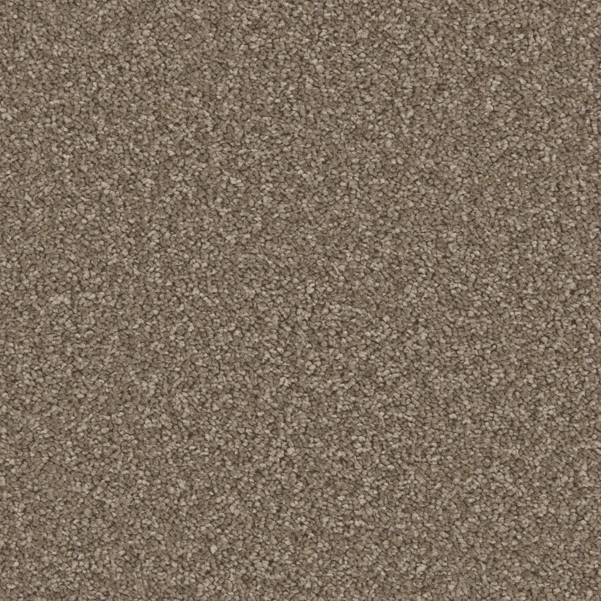 Aurora Brown Rice carpet