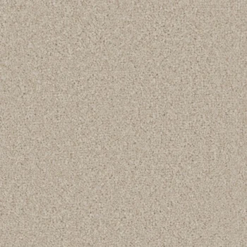 Aurora Champagne carpet