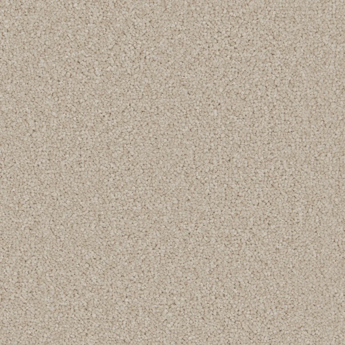 Aurora Champagne carpet